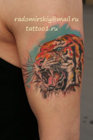 Фото и  значения татуировки Тигр. X_54276b2c