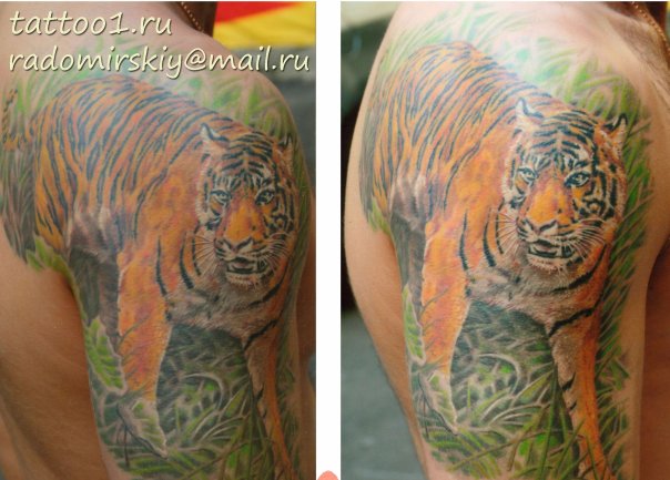 Фото и  значения татуировки Тигр. X_7eb9ed6b